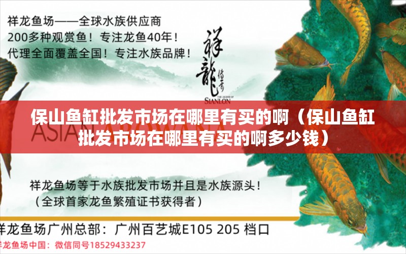 保山鱼缸批发市场在哪里有买的啊（保山鱼缸批发市场在哪里有买的啊多少钱） 黑桃A鱼苗