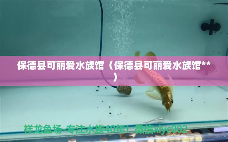 保德县可丽爱水族馆（保德县可丽爱水族馆**）