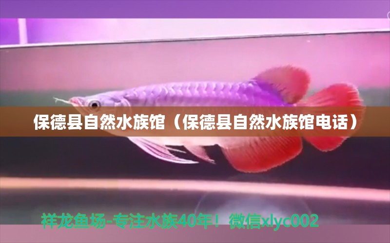 保德县自然水族馆（保德县自然水族馆电话） 全国水族馆企业名录