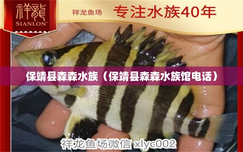 保靖县森森水族（保靖县森森水族馆电话） 全国水族馆企业名录