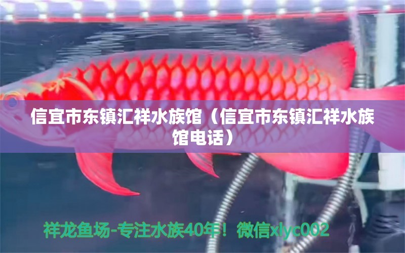 信宜市东镇汇祥水族馆（信宜市东镇汇祥水族馆电话）