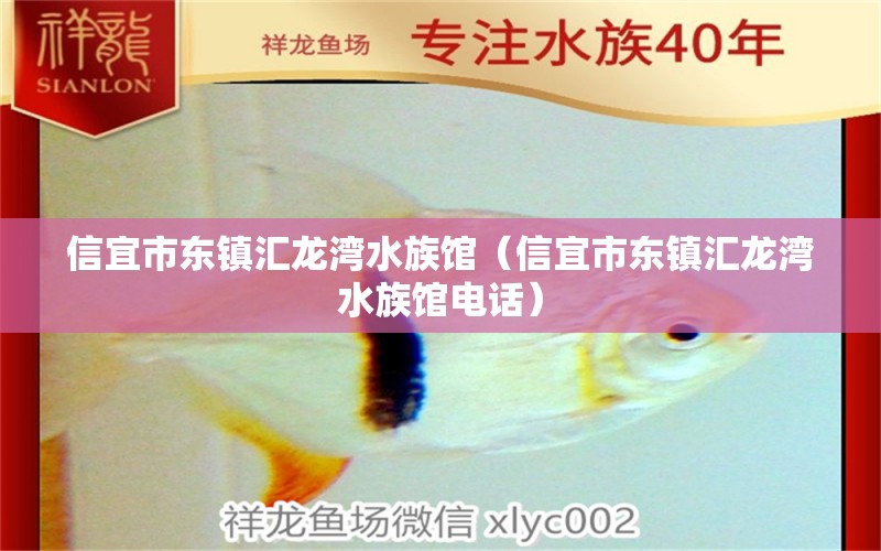 信宜市东镇汇龙湾水族馆（信宜市东镇汇龙湾水族馆电话）