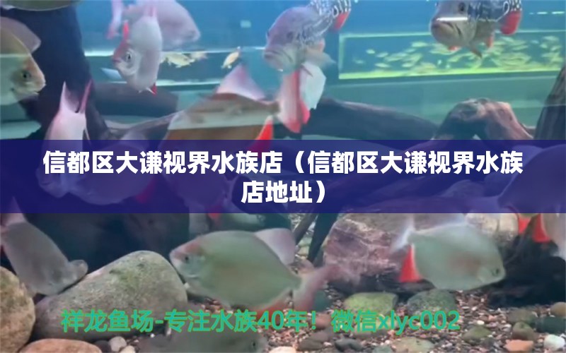 信都区大谦视界水族店（信都区大谦视界水族店地址） 全国水族馆企业名录