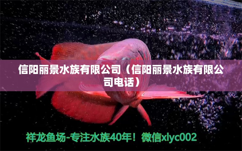 信阳丽景水族有限公司（信阳丽景水族有限公司电话）