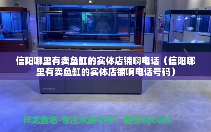 信阳哪里有卖鱼缸的实体店铺啊电话（信阳哪里有卖鱼缸的实体店铺啊电话号码） 黑桃A鱼苗