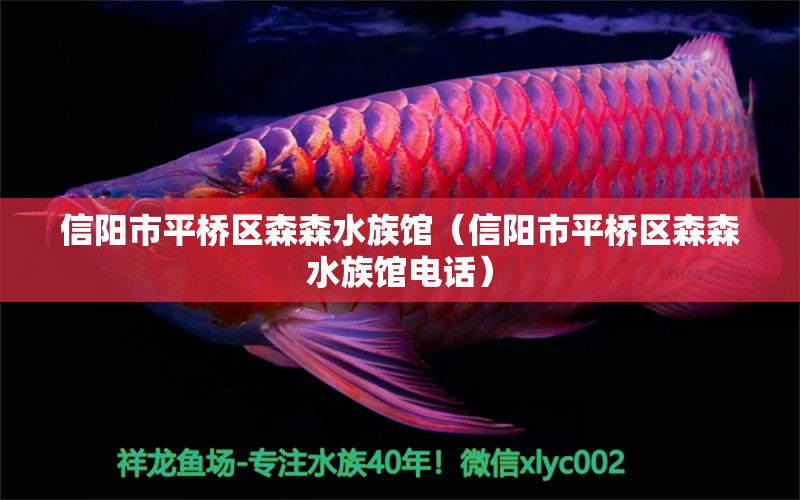 信阳市平桥区森森水族馆（信阳市平桥区森森水族馆电话）