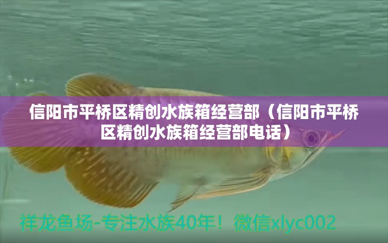 信阳市平桥区精创水族箱经营部（信阳市平桥区精创水族箱经营部电话）