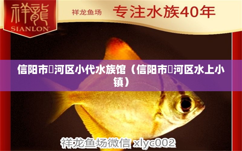 信阳市浉河区小代水族馆（信阳市浉河区水上小镇） 全国水族馆企业名录