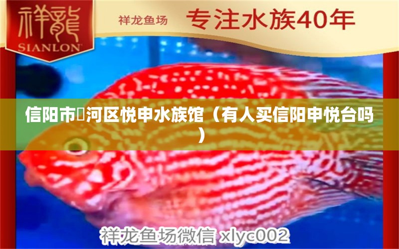 信阳市浉河区悦申水族馆（有人买信阳申悦台吗） 全国水族馆企业名录