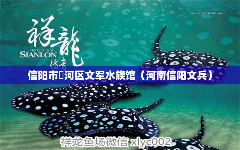 信阳市浉河区文军水族馆（河南信阳文兵） 全国水族馆企业名录