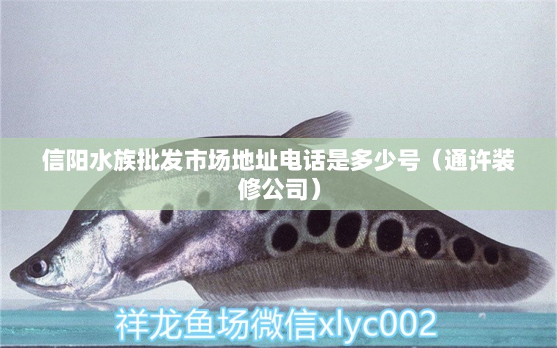 信阳水族批发市场地址电话是多少号（通许装修公司） 定时器/自控系统 第1张