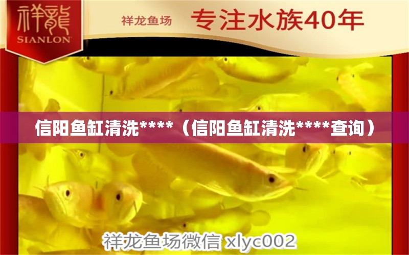 信阳鱼缸清洗****（信阳鱼缸清洗****查询） 水族杂谈