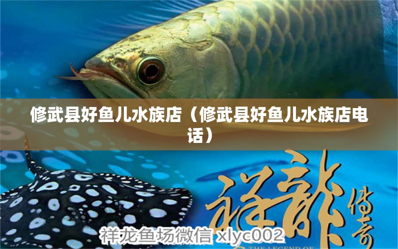 修武县好鱼儿水族店（修武县好鱼儿水族店电话）