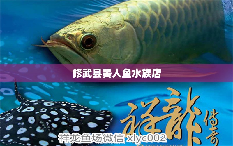 修武县美人鱼水族店 全国水族馆企业名录