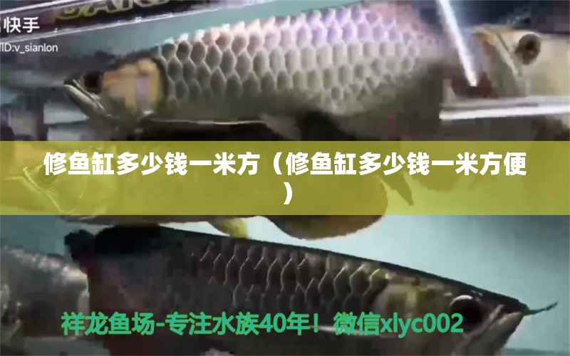 修鱼缸多少钱一米方（修鱼缸多少钱一米方便） 祥龙水族医院