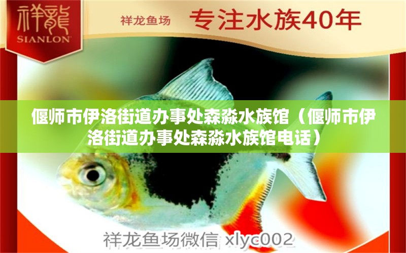 偃师市伊洛街道办事处森淼水族馆（偃师市伊洛街道办事处森淼水族馆电话）