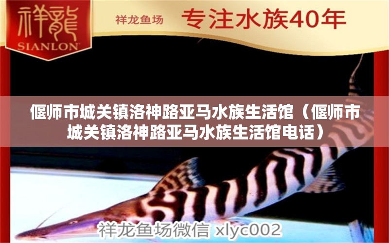 偃师市城关镇洛神路亚马水族生活馆（偃师市城关镇洛神路亚马水族生活馆电话）