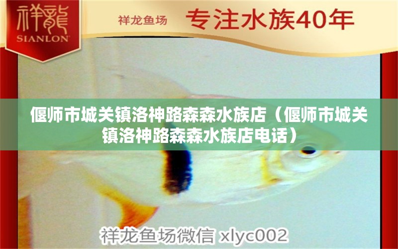 偃师市城关镇洛神路森森水族店（偃师市城关镇洛神路森森水族店电话） 全国水族馆企业名录