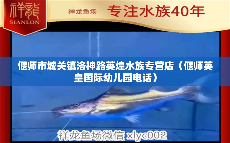 偃师市城关镇洛神路英煌水族专营店（偃师英皇国际幼儿园电话）