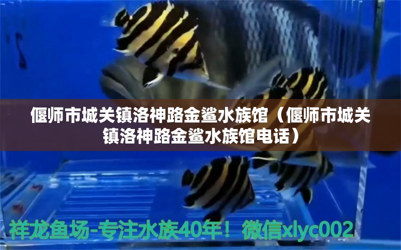 偃师市城关镇洛神路金鲨水族馆（偃师市城关镇洛神路金鲨水族馆电话）