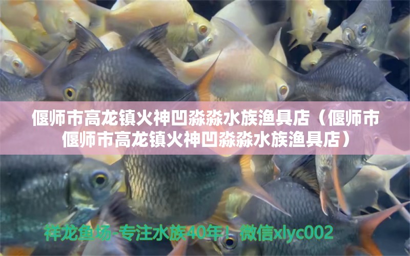 偃师市高龙镇火神凹淼淼水族渔具店（偃师市偃师市高龙镇火神凹淼淼水族渔具店） 全国观赏鱼市场 第2张