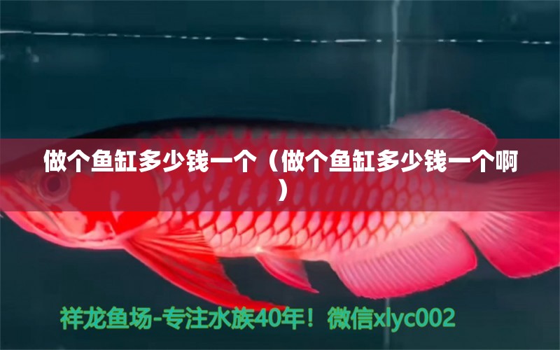 做个鱼缸多少钱一个（做个鱼缸多少钱一个啊） 祥龙水族医院