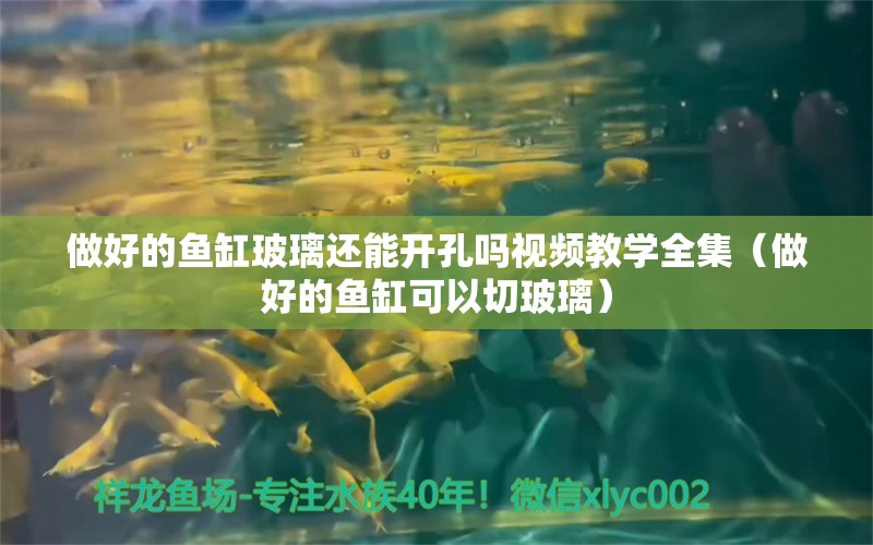 做好的鱼缸玻璃还能开孔吗视频教学全集（做好的鱼缸可以切玻璃） 潜水泵