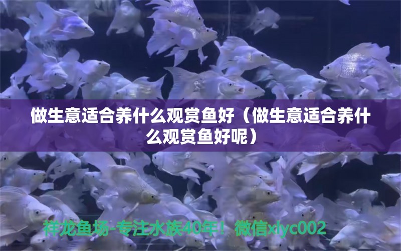 做生意适合养什么观赏鱼好（做生意适合养什么观赏鱼好呢） 白玉红龙鱼