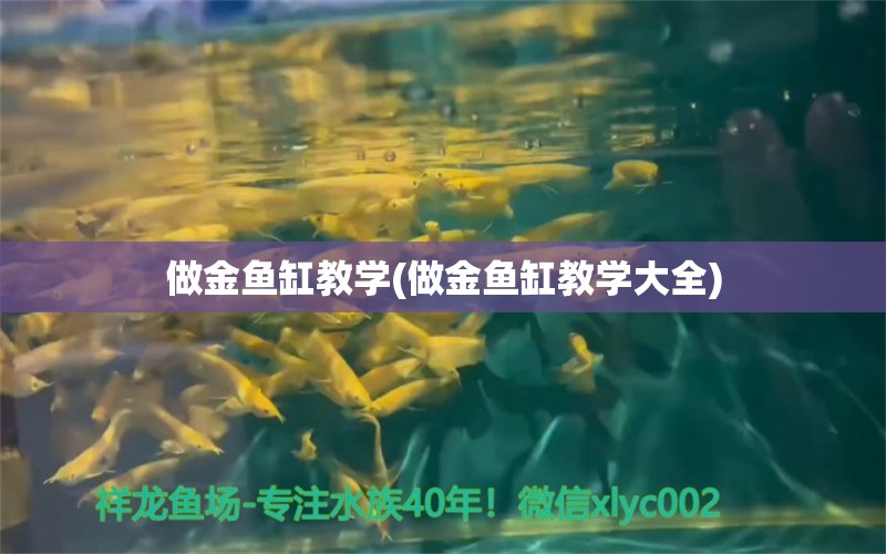 做金鱼缸教学(做金鱼缸教学大全)