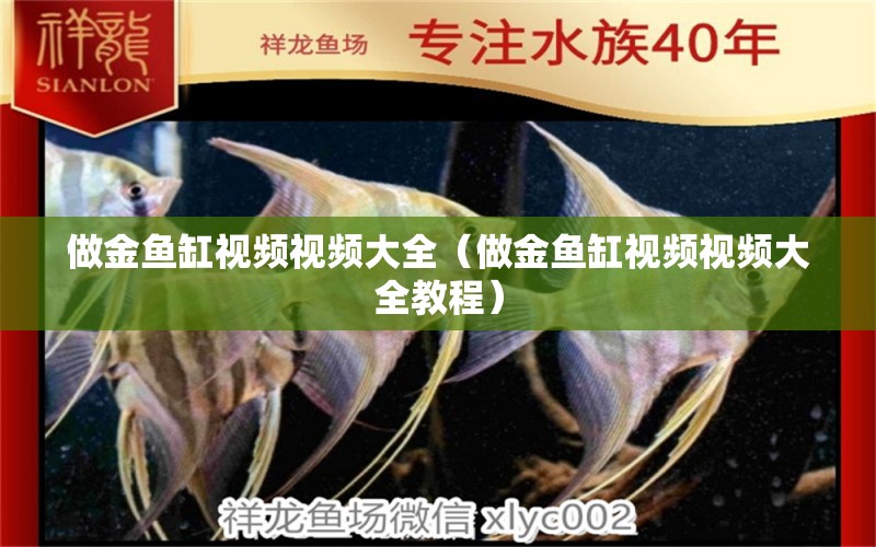 做金鱼缸视频视频大全（做金鱼缸视频视频大全教程） 祥龙水族医院