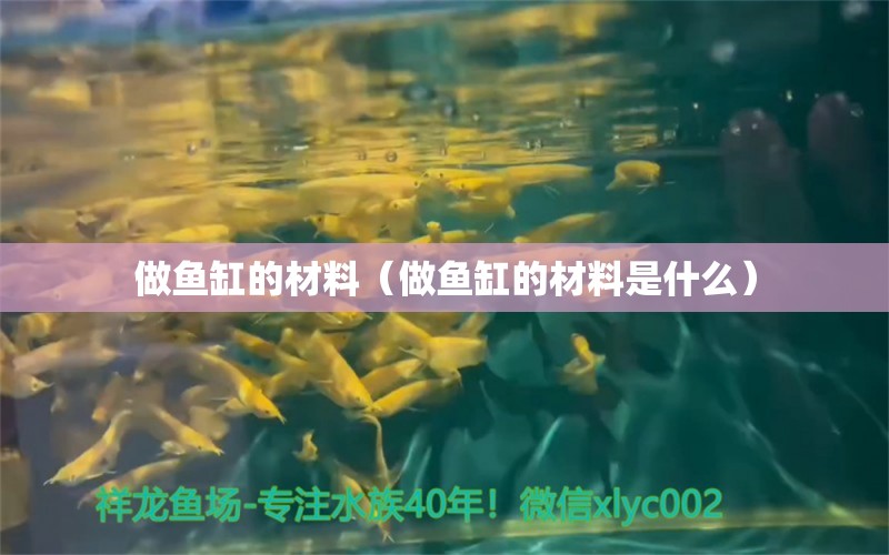 做鱼缸的材料（做鱼缸的材料是什么）