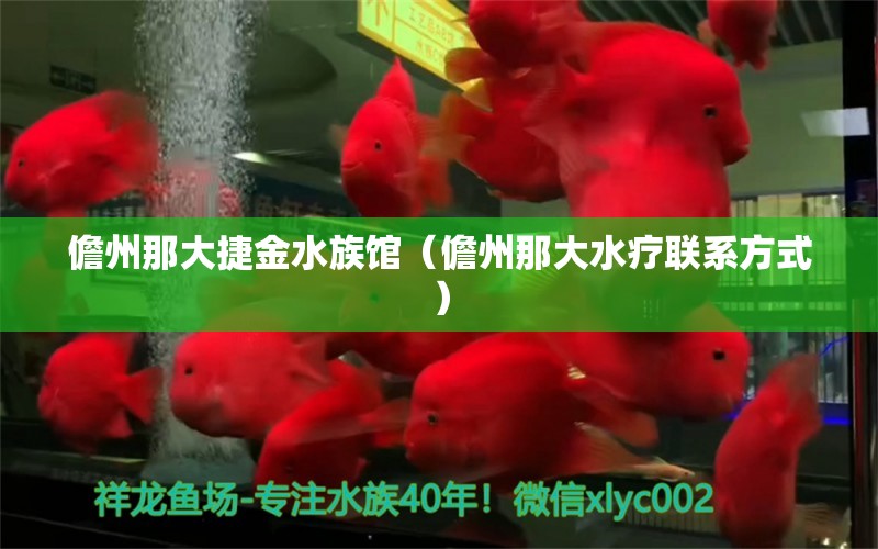 儋州那大捷金水族馆（儋州那大水疗联系方式）