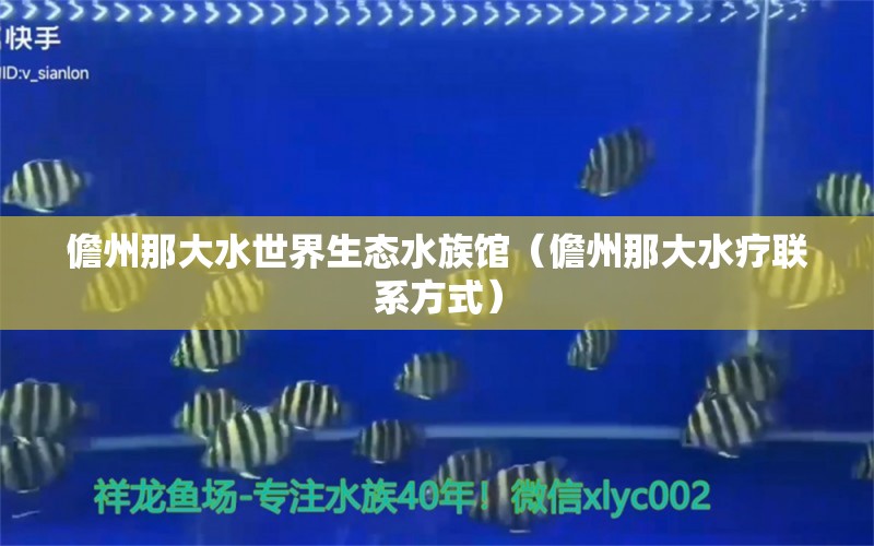 儋州那大水世界生态水族馆（儋州那大水疗联系方式） 全国水族馆企业名录