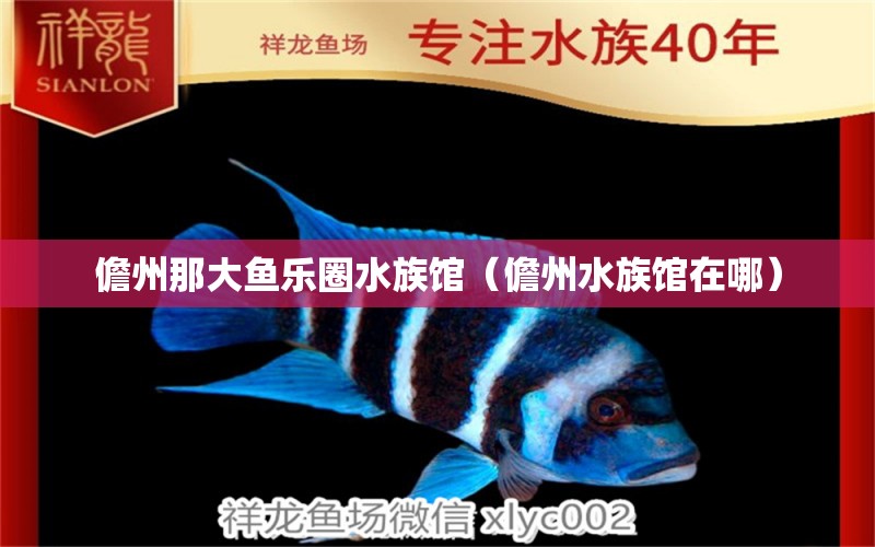 儋州那大鱼乐圈水族馆（儋州水族馆在哪）