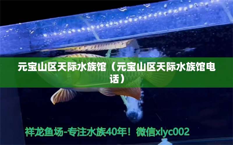 元宝山区天际水族馆（元宝山区天际水族馆电话） 全国水族馆企业名录