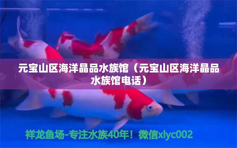 元宝山区海洋晶品水族馆（元宝山区海洋晶品水族馆电话） 全国水族馆企业名录