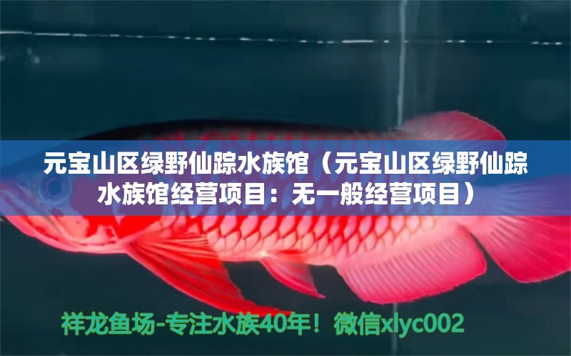 元宝山区绿野仙踪水族馆（元宝山区绿野仙踪水族馆经营项目：无一般经营项目） 全国观赏鱼市场 第2张