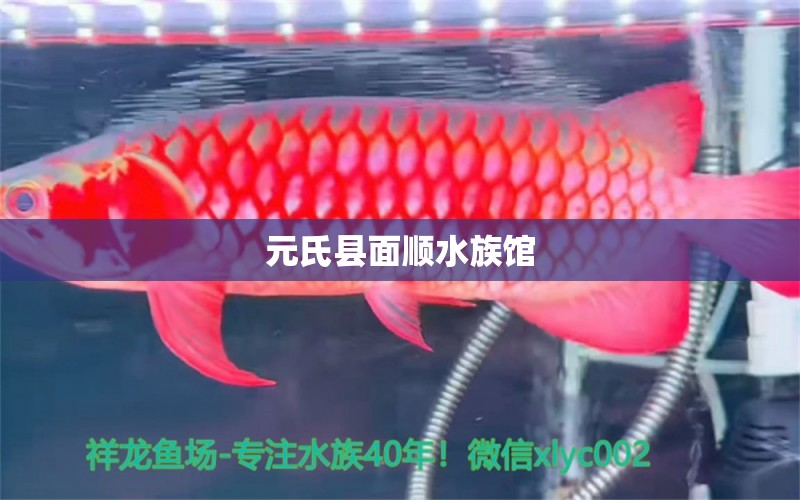 元氏县面顺水族馆