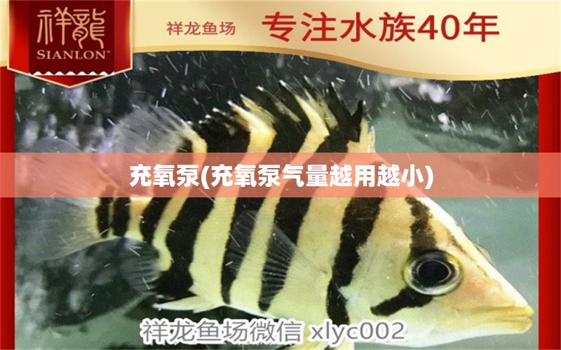 充氧泵(充氧泵气量越用越小)