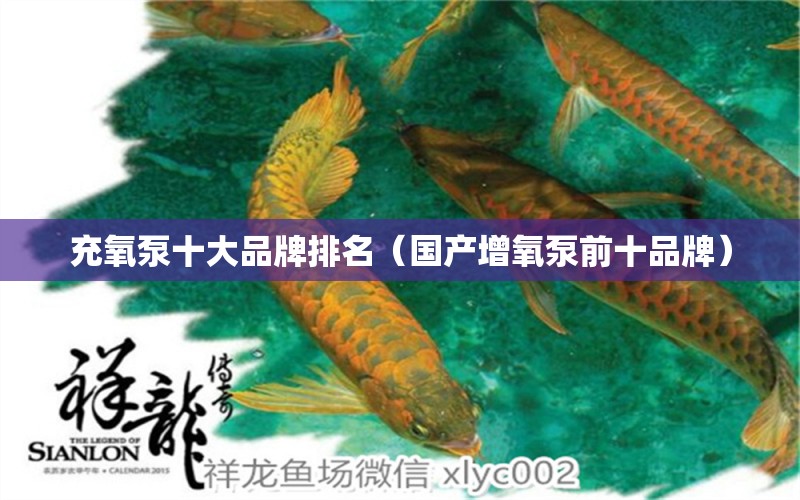 充氧泵十大品牌排名（国产增氧泵前十品牌） 细线银板鱼苗 第1张