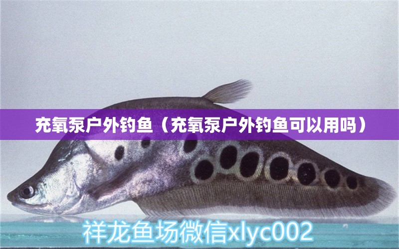 充氧泵户外钓鱼（充氧泵户外钓鱼可以用吗）