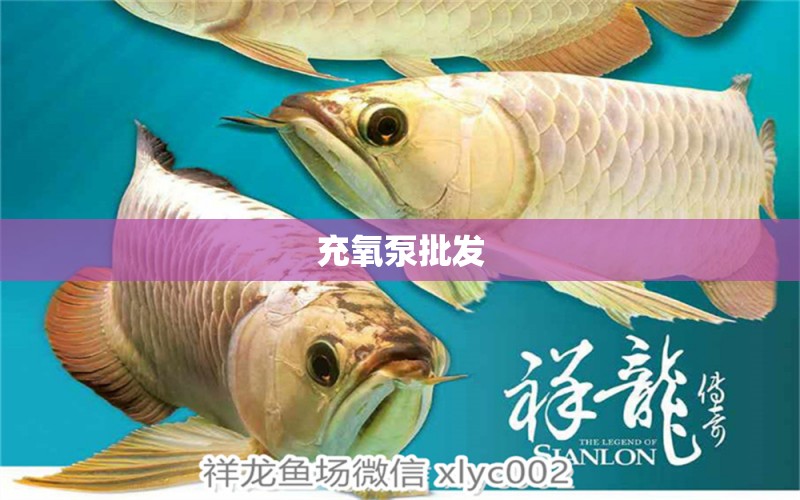 充氧泵批发