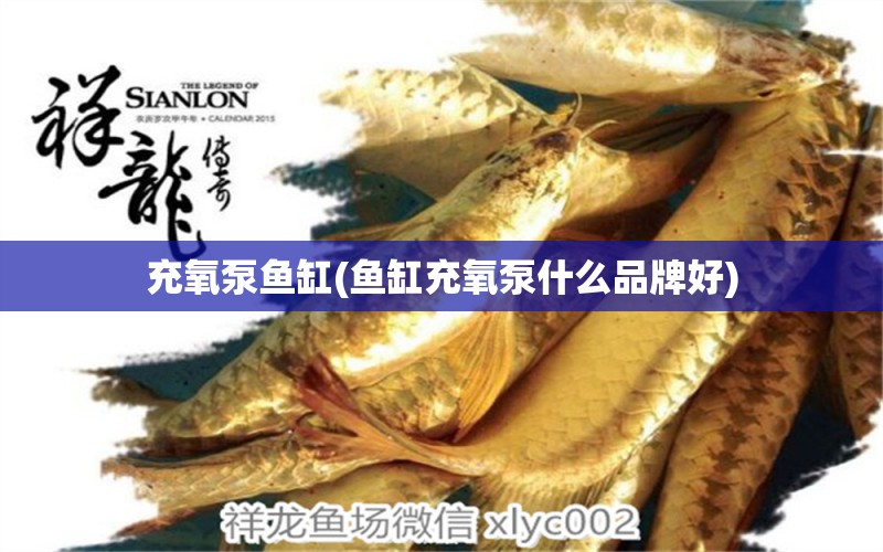 充氧泵鱼缸(鱼缸充氧泵什么品牌好)