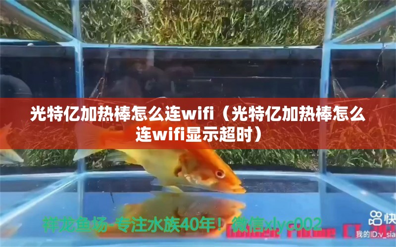 光特亿加热棒怎么连wifi（光特亿加热棒怎么连wifi显示超时）