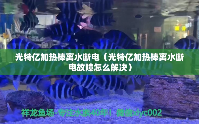 光特亿加热棒离水断电（光特亿加热棒离水断电故障怎么解决）