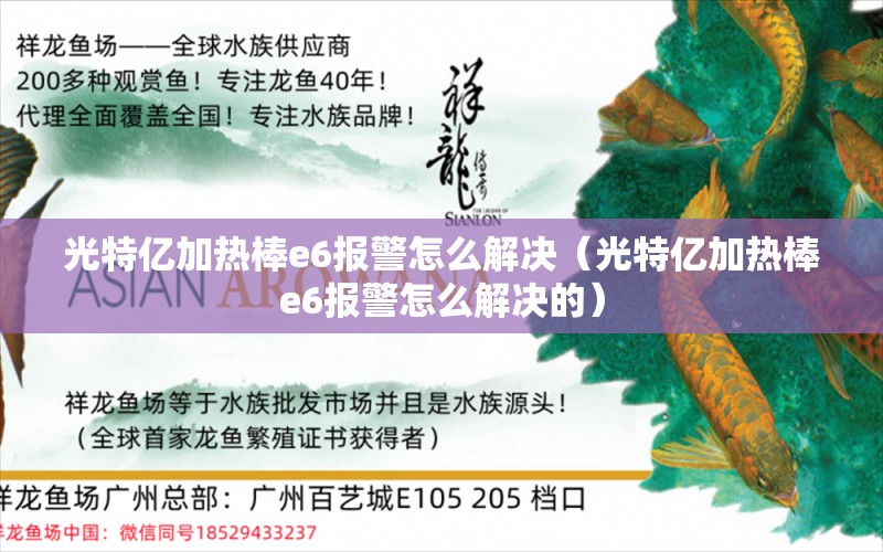 光特亿加热棒e6报警怎么解决（光特亿加热棒e6报警怎么解决的）