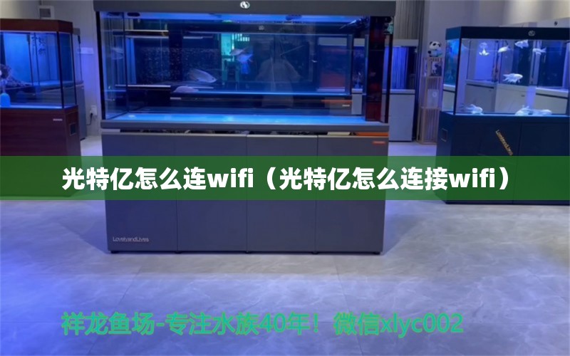 光特亿怎么连wifi（光特亿怎么连接wifi）