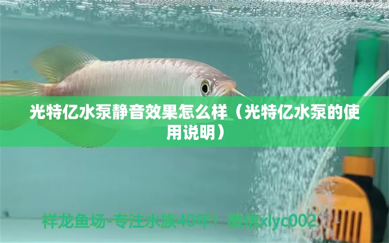 光特亿水泵静音效果怎么样（光特亿水泵的使用说明） 光特亿