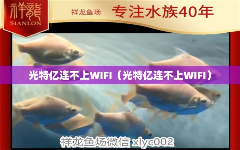 光特亿连不上WIFI（光特亿连不上WIFI） 光特亿