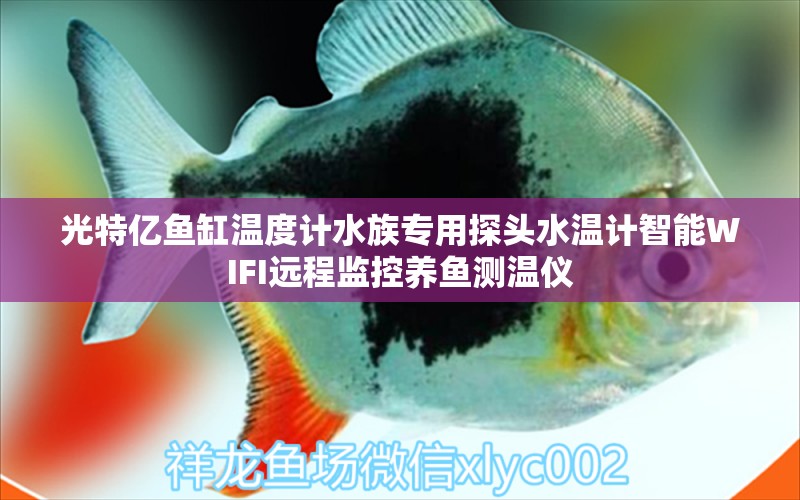 光特亿鱼缸温度计水族专用探头水温计智能WIFI远程监控养鱼测温仪